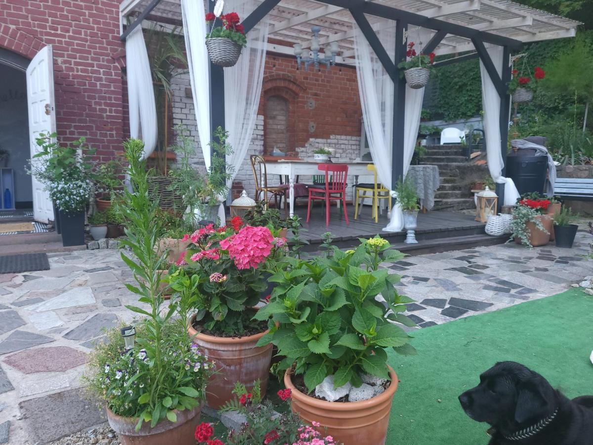 Krzywa Apartamenty Лідзбарк-Вармінський Екстер'єр фото