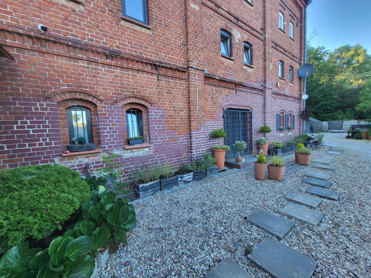Krzywa Apartamenty Лідзбарк-Вармінський Екстер'єр фото